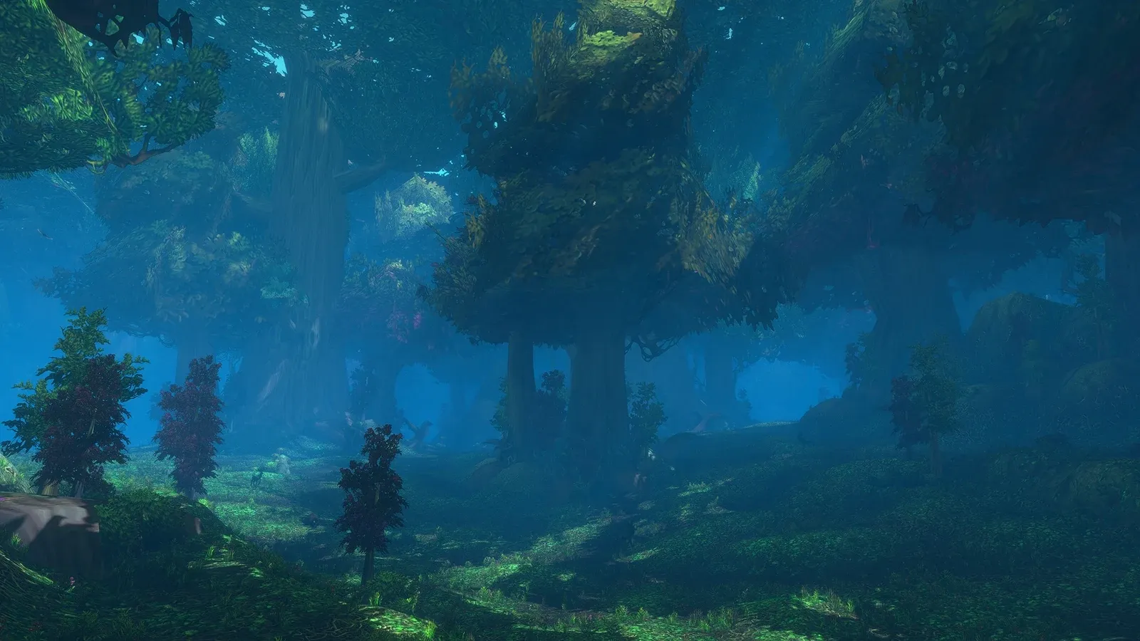 Bosque del Monte Hyjal en WoW Forever