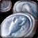 Icono de Muestra de ardilla