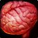 Icono de Cerebro silítido de Colmen'Regal