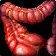 Icono de Intestinos de jabalí