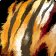 Icono de Cuero de tigre primigenio