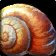 Icono de Caparazón de caracol marino vacío